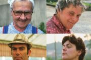 Brauns Bilder
